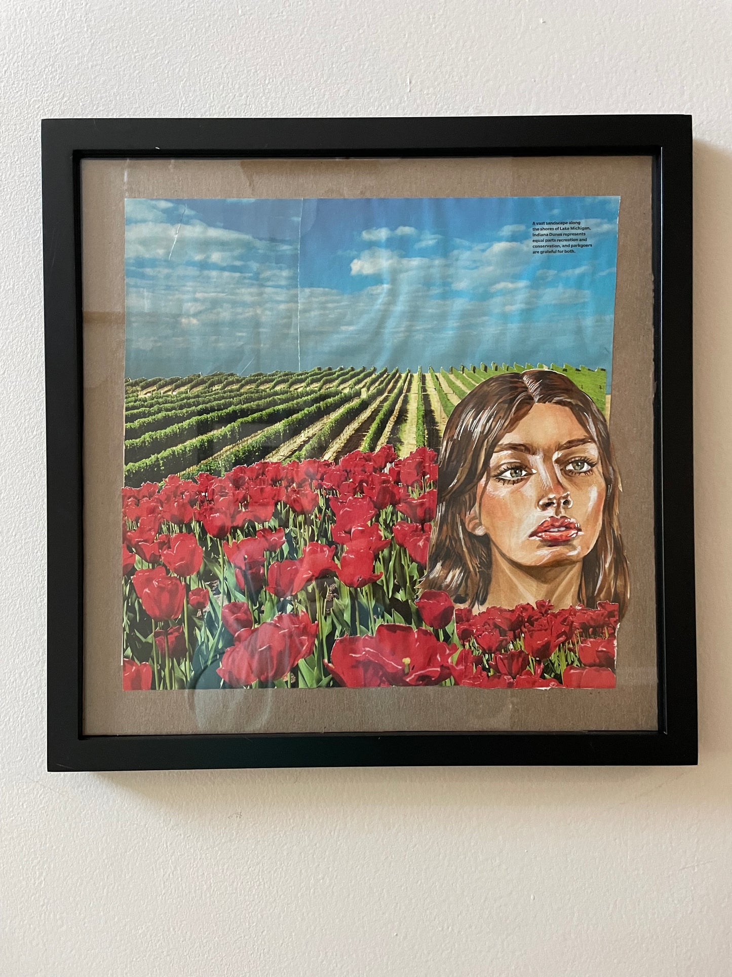 flower field